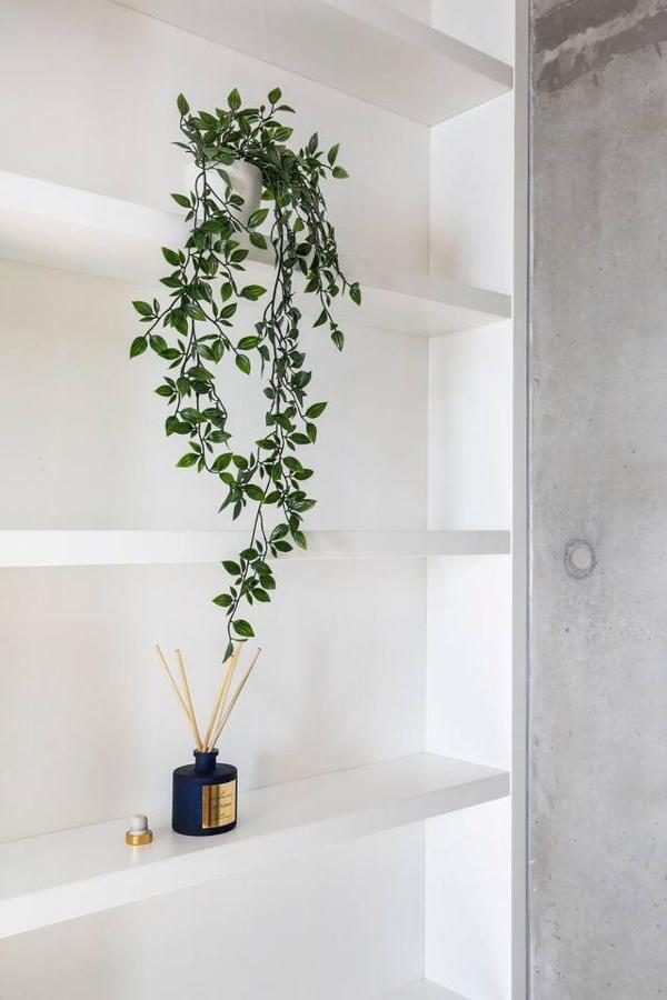 'the Fern' Split-level Oasis With Lush Courtyard Appartamento Sydney